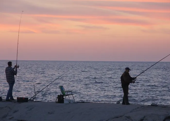 Alojamento de Turismo Selvagem Baltic *